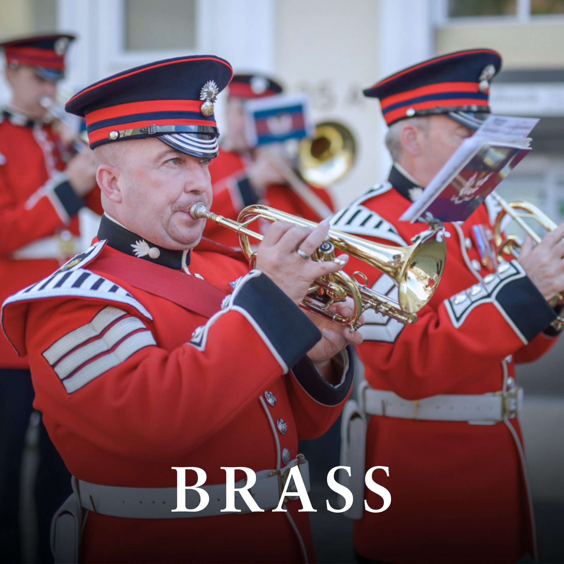 westminster brand brass